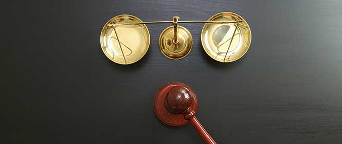 seguro-garantia-licitação-como-funciona Seguro garantia licitação: Como funciona