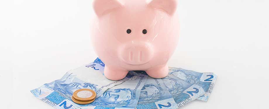 É bom ter uma previdência privada? Na imagem, cofre de porquinho, moedas e notas de dinheiro evidenciam a relevância de pagar uma previdência