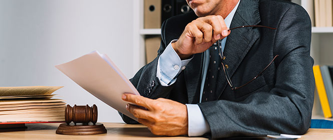 Qual a responsabilidade do estipulante do seguro? Na imagem, homem lendo contrato e exercendo a função de guiar o acordo