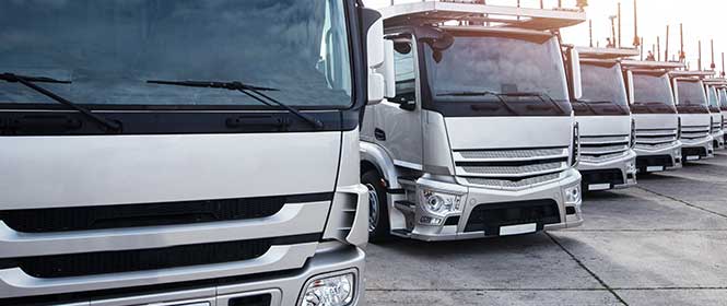 como-contratar-seguro-para-transportadora como contratar seguro para transportadora