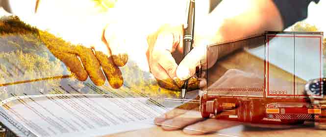 contrato-de-frete-baixe-um-modelo-gratuitamente Contrato de frete: baixe um modelo gratuitamente