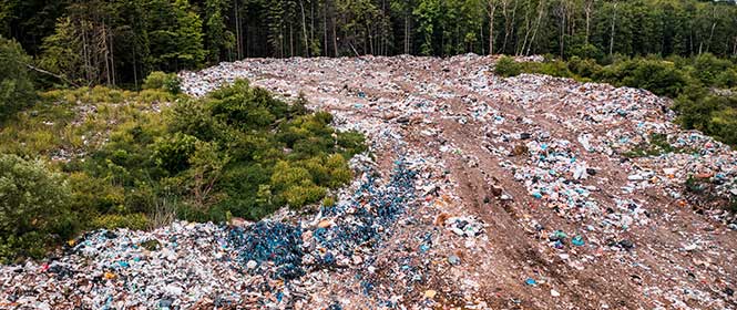 o-que-é-responsabilidade-objetiva-ambiental o que é responsabilidade objetiva ambiental