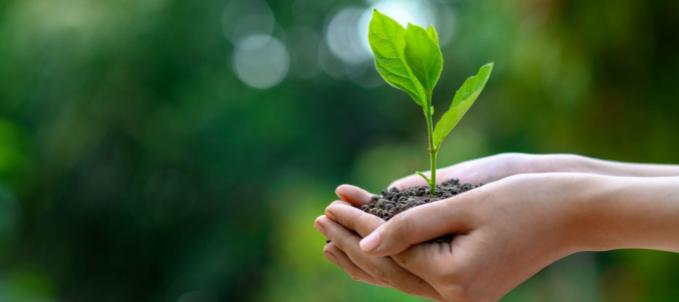 quem-e-responsavel-pelo-dano-ambiental quem é responsável pelo dano ambiental