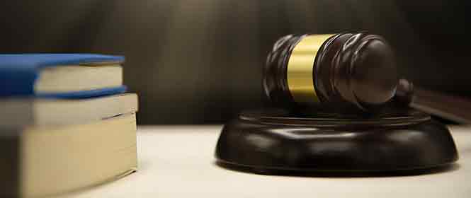 Seguro garantia judicial